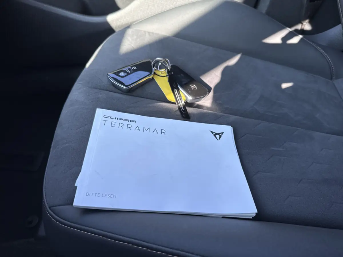 CUPRA Terramar 1.5 TSIe 150PK DSG BUSINESS: foto 38