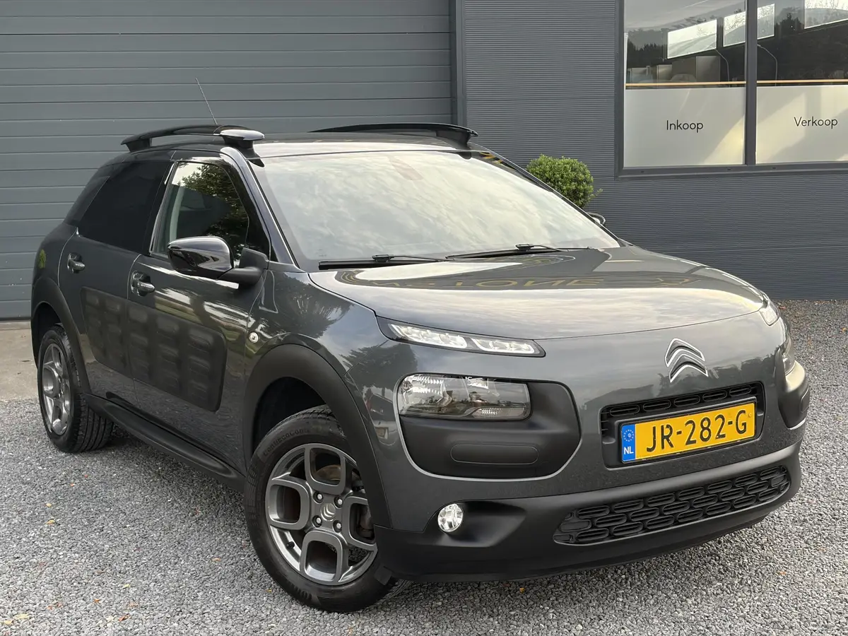 Citroën C4 Cactus 1.2 PureTech Shine: foto 2