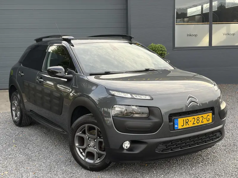 Citroën C4 Cactus 1.2 PureTech Shine 2016 leasen bij DreamLease: foto 2