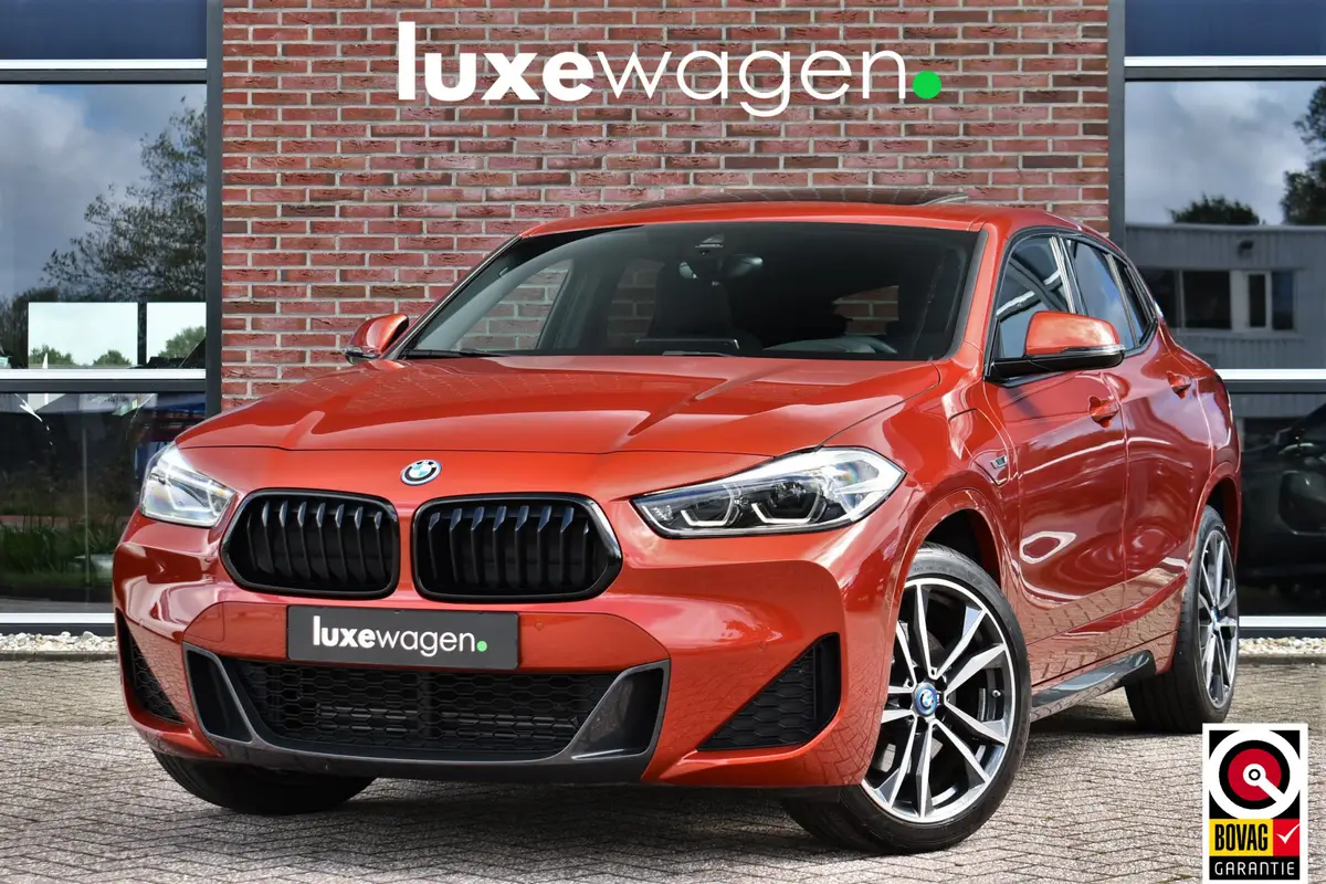 BMW X2 xDrive25e M-Sport: foto 1