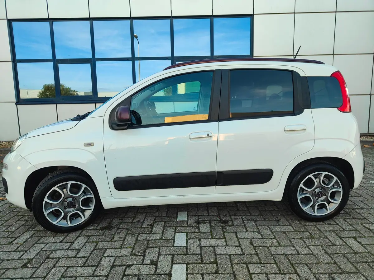 Fiat Panda Spierwitte 0.9 TwinAir Lounge Automaat full options 1e eigenaresse: foto 2