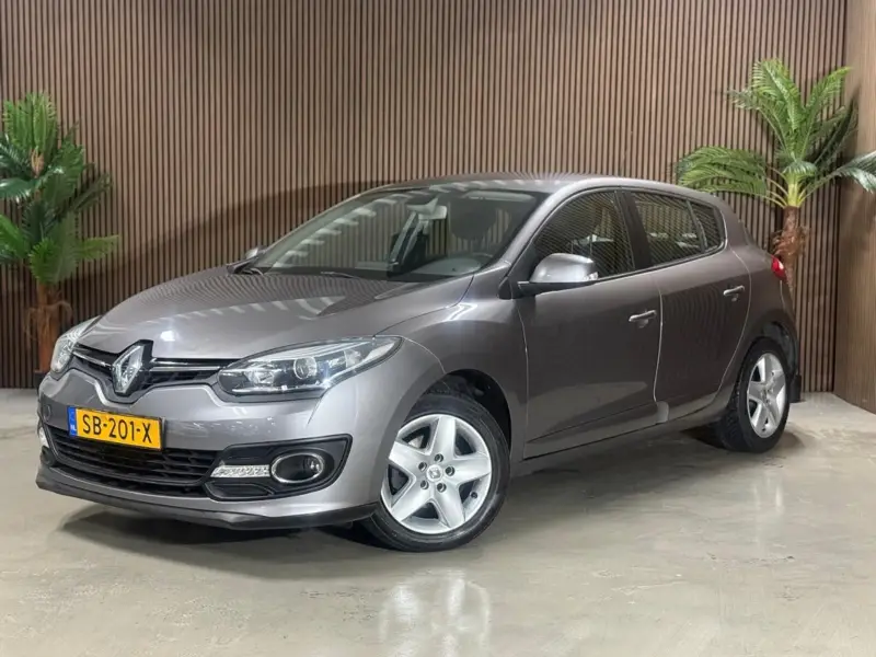 Renault Mégane 1.2 TCe Authentique 2014 leasen bij DreamLease: foto 1