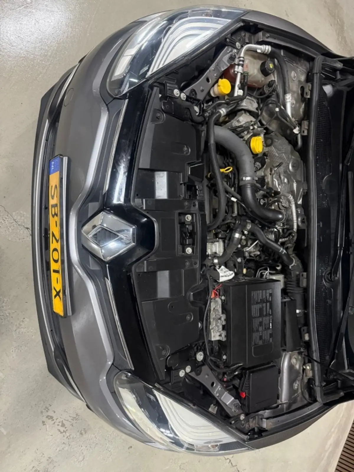 Renault Mégane 1.2 TCe Authentique: foto 13