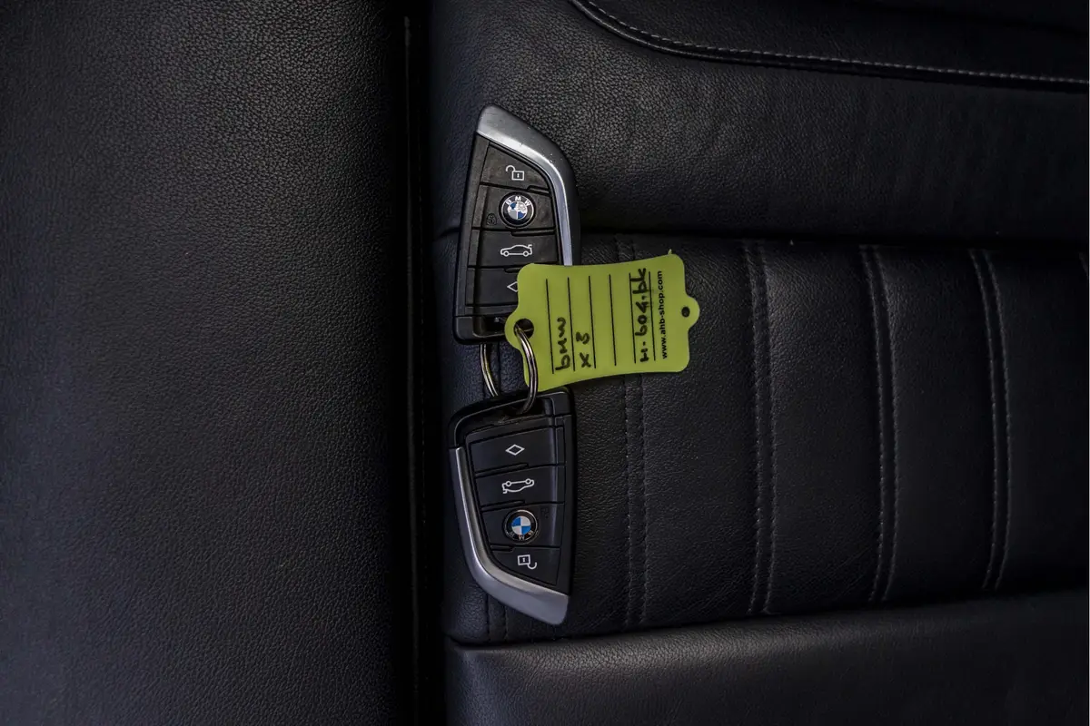BMW X3 xDrive20i High Executive Edition: foto 43