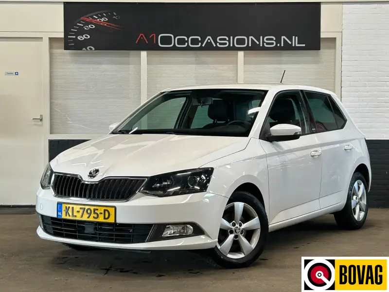 Škoda Fabia 1.2 TSI JOY 2016 leasen bij DreamLease: foto 1