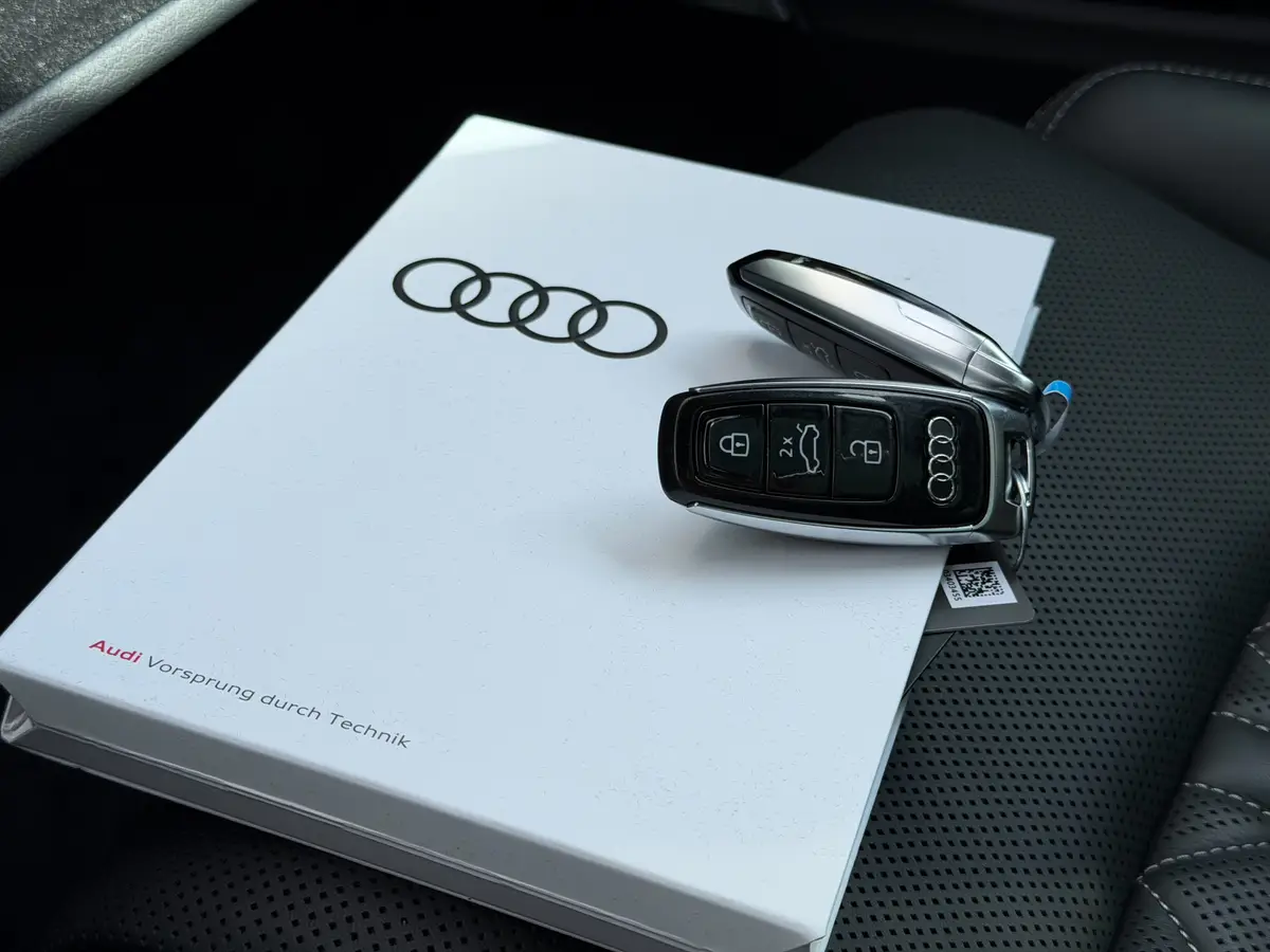 Audi Q8 60 TFSI e quattro Pro Line S Competition: foto 29