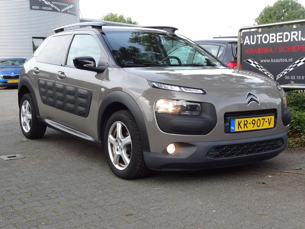 Citroën C4 Cactus 1.2 Business: foto 1