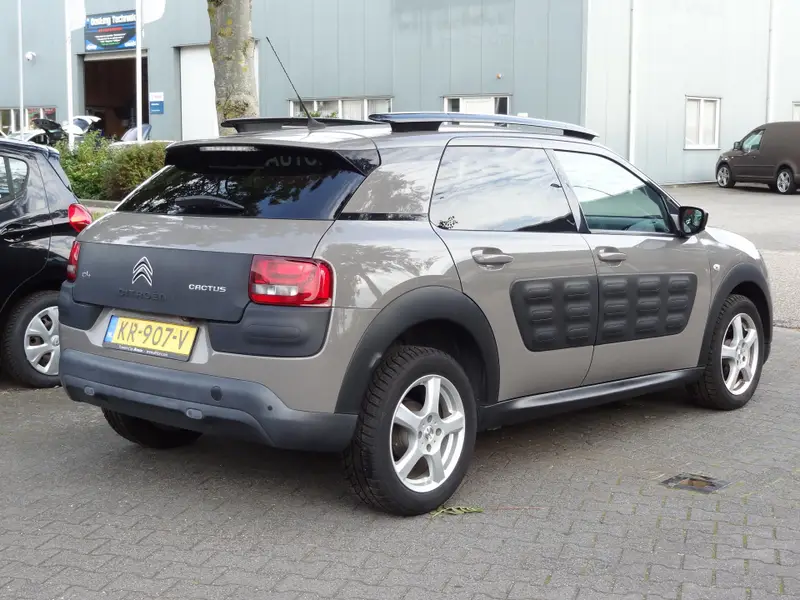 Citroën C4 Cactus 1.2 Business 2016 leasen bij DreamLease: foto 2