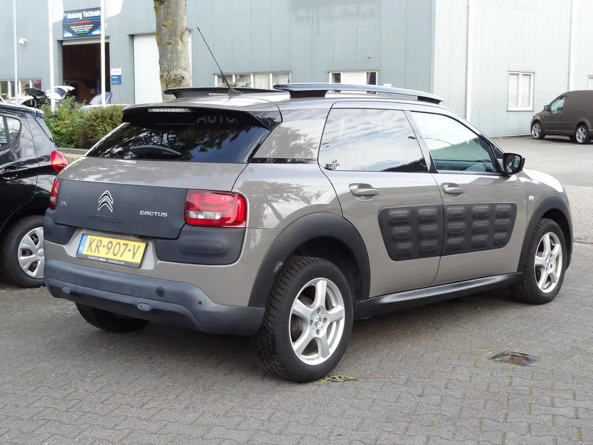 Citroën C4 Cactus 1.2 Business: foto 2