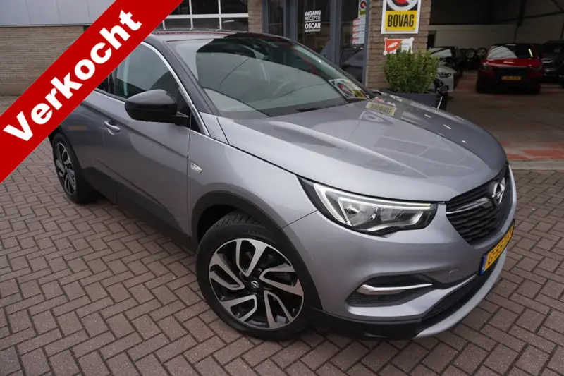 Opel Grandland X 1.2 Turbo Business Executive 2019 leasen bij DreamLease: foto 1