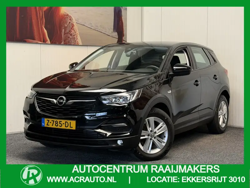 Opel Grandland X 1.2 TURBO BUSINESS EDITION 2020 leasen bij DreamLease: foto 1