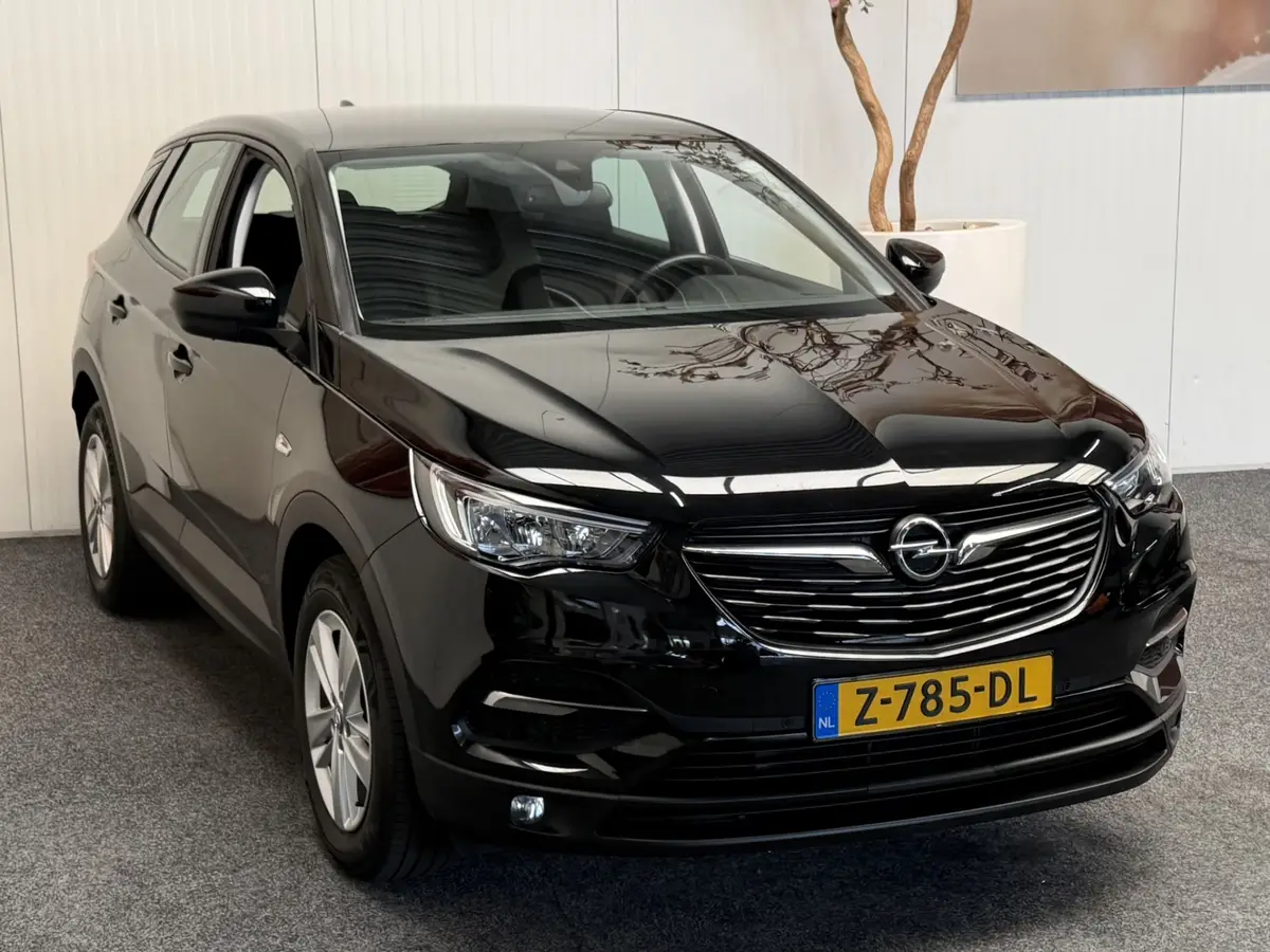 Opel Grandland X 1.2 TURBO BUSINESS EDITION: foto 2