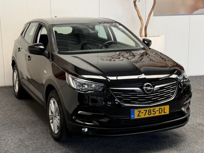 Opel Grandland X 1.2 TURBO BUSINESS EDITION 2020 leasen bij DreamLease: foto 2