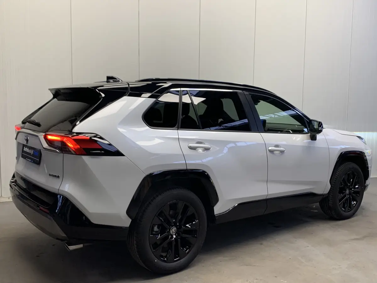 Toyota RAV4 2.5 Hybrid Style: foto 2