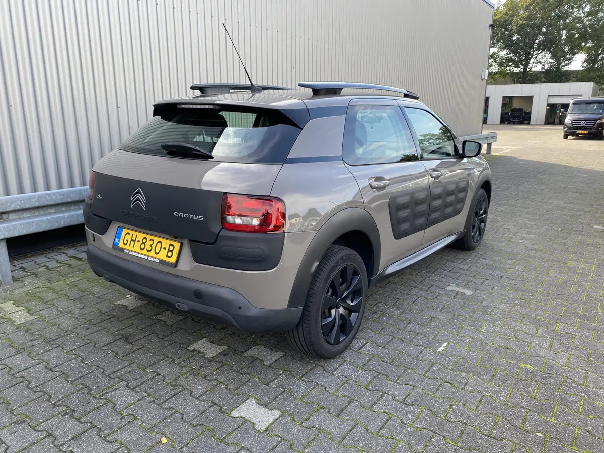 Citroën C4 Cactus 1.2 PureTech Business: foto 2