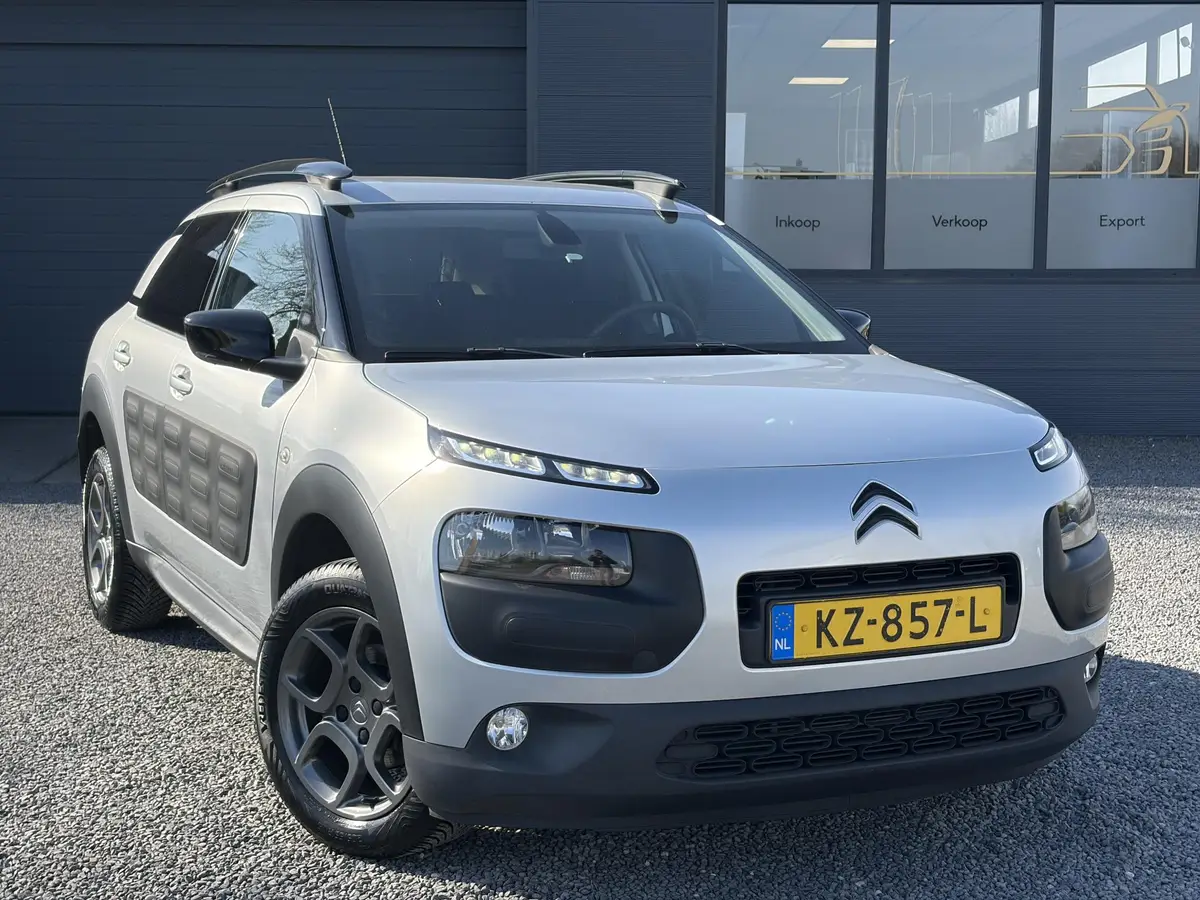 Citroën C4 Cactus 1.2 PureTech Shine: foto 2