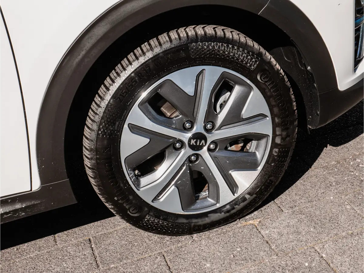 Kia e-Niro Edition 64 kWh SOH 100%: foto 31