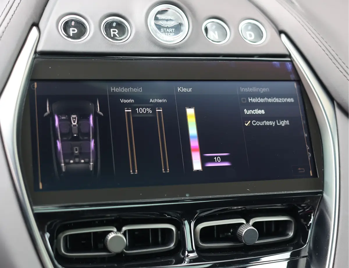 Aston Martin DBX 4.0 V8: foto 46