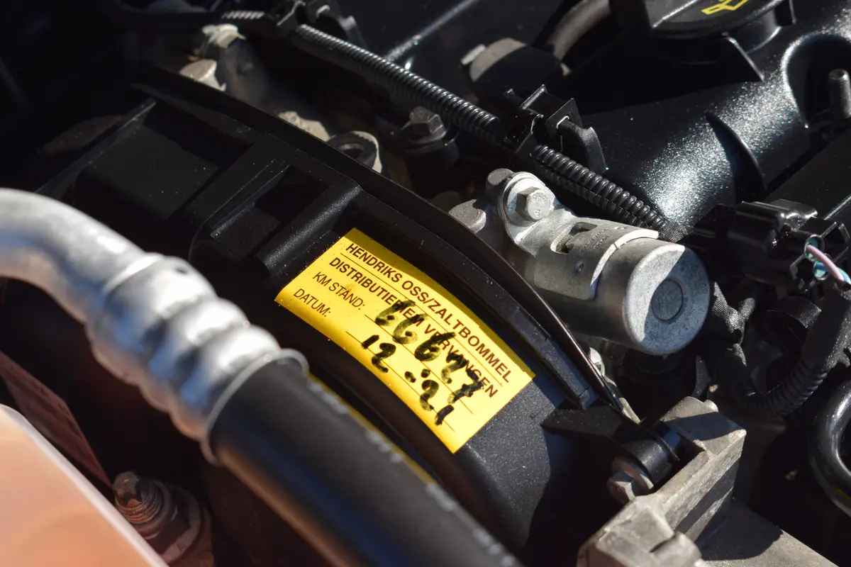 Ford B-MAX 1.6 TI-VCT Titanium: foto 32