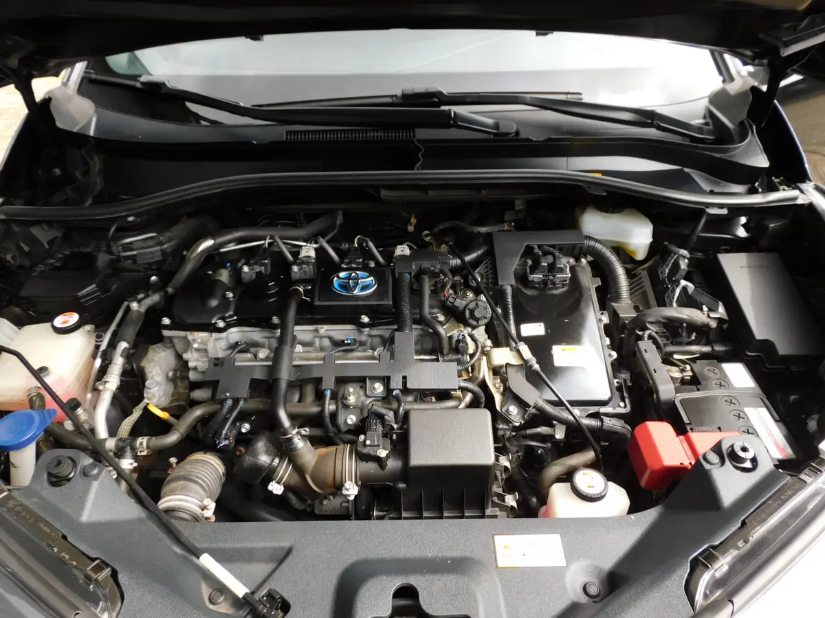 Toyota C-HR 1.8 Hybrid Black Edition: foto 26