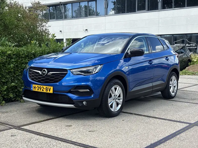 Opel Grandland X 1.2 Turbo Business Executive 2019 leasen bij DreamLease: foto 1