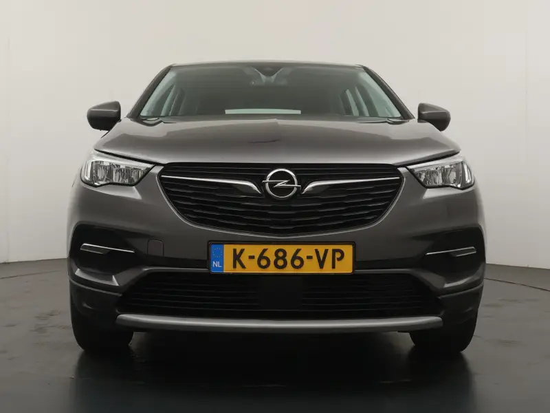 Opel Grandland X 1.2 Turbo Automaat Elegance 2021 leasen bij DreamLease: foto 2