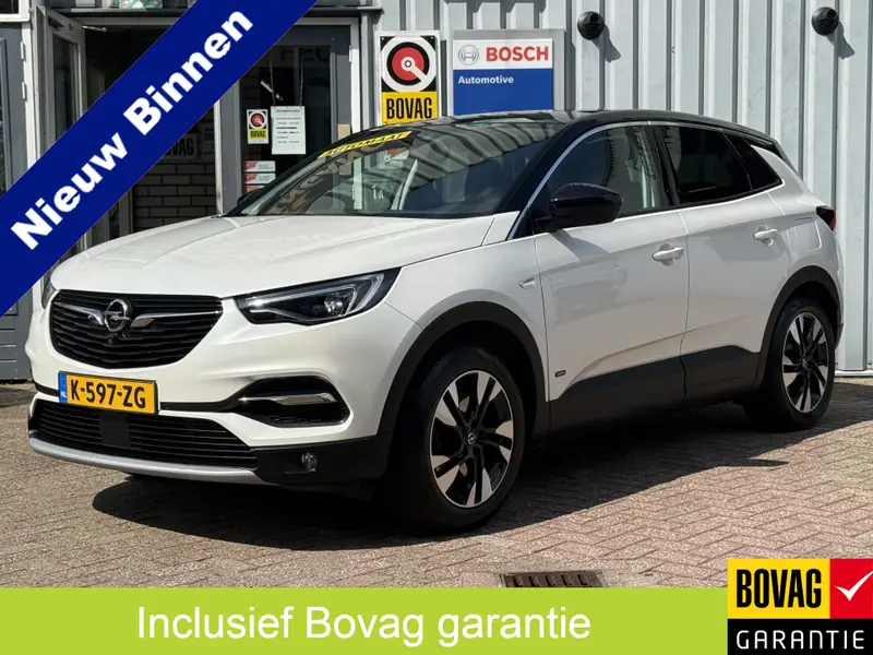 Opel Grandland X 1.6 Turbo Hybrid Business Elegance 181pk 2021 leasen bij DreamLease: foto 1