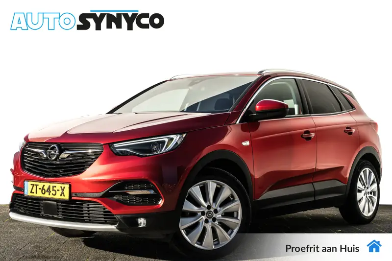 Opel Grandland X 1.2 Turbo Bus. Exec. | Trekhaak | Leder | Org. NL | 2019 leasen bij DreamLease: foto 1