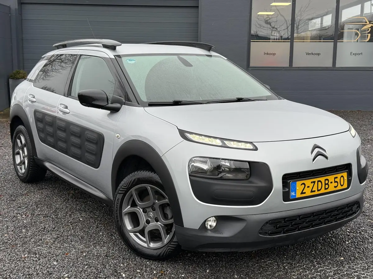 Citroën C4 Cactus 1.2 PureTech Shine: foto 2