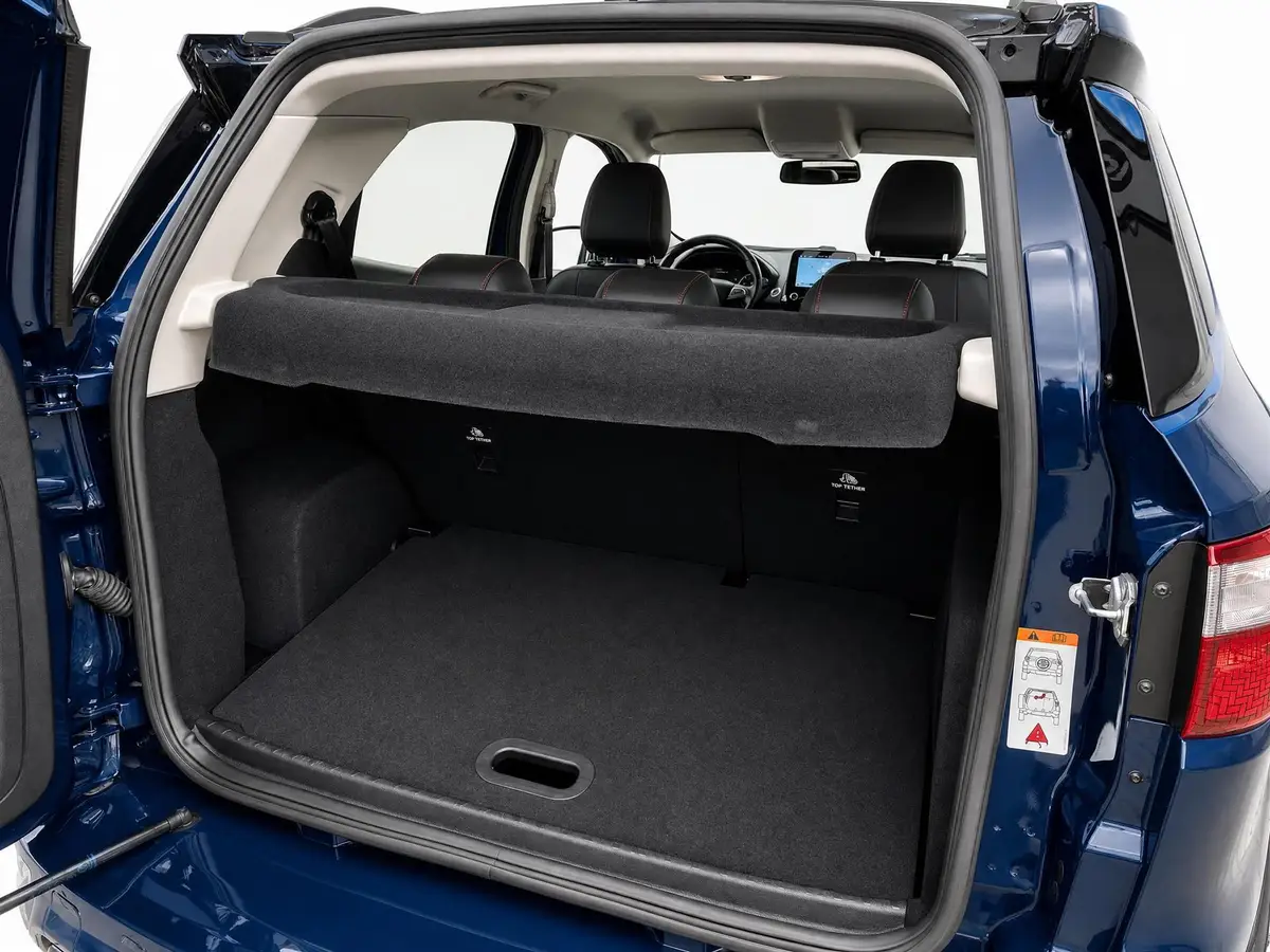 Ford EcoSport 1.0 EcoBoost ST-Line | B&O Audio | Carplay | Stoel+ Stuurverwarming: foto 19