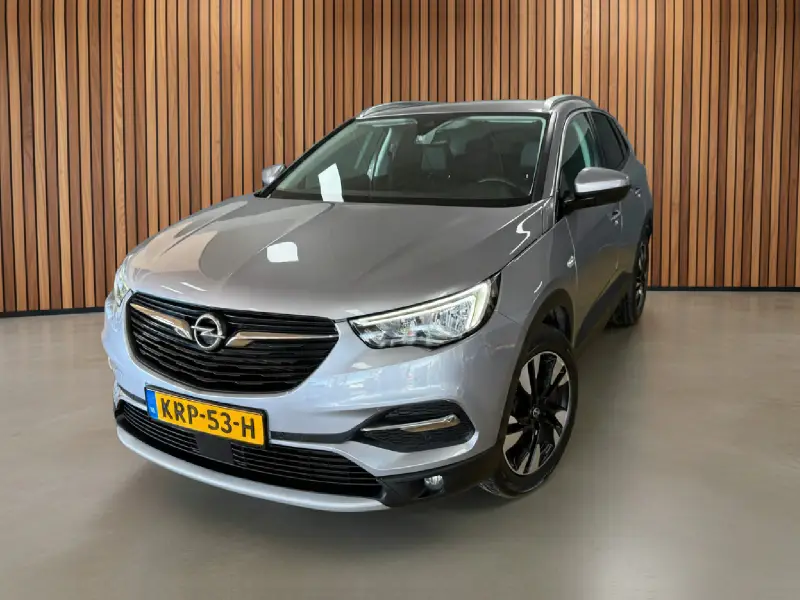 Opel Grandland X 1.2 Turbo Innovation | Camera | Dodehoek | Adapt cruise. 2019 leasen bij DreamLease: foto 1
