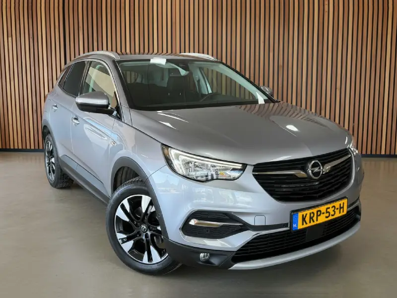 Opel Grandland X 1.2 Turbo Innovation | Camera | Dodehoek | Adapt cruise. 2019 leasen bij DreamLease: foto 2