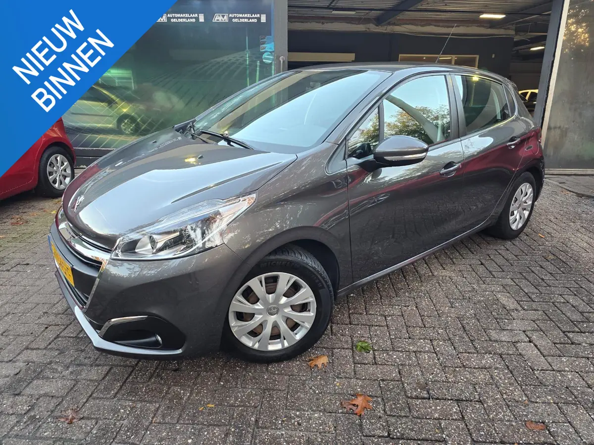 Peugeot 208 1.2 PureTech Blue Lion: foto 1