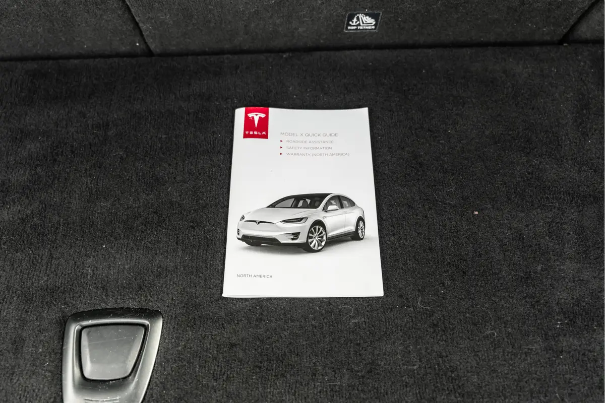 Tesla Model X 90D Free Super Charge: foto 26