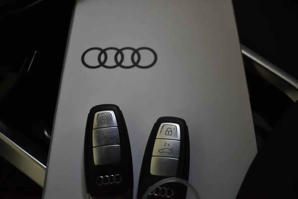 Audi e-tron 50 QUATTRO BUSINESS EDITION 71 kWh: foto 47