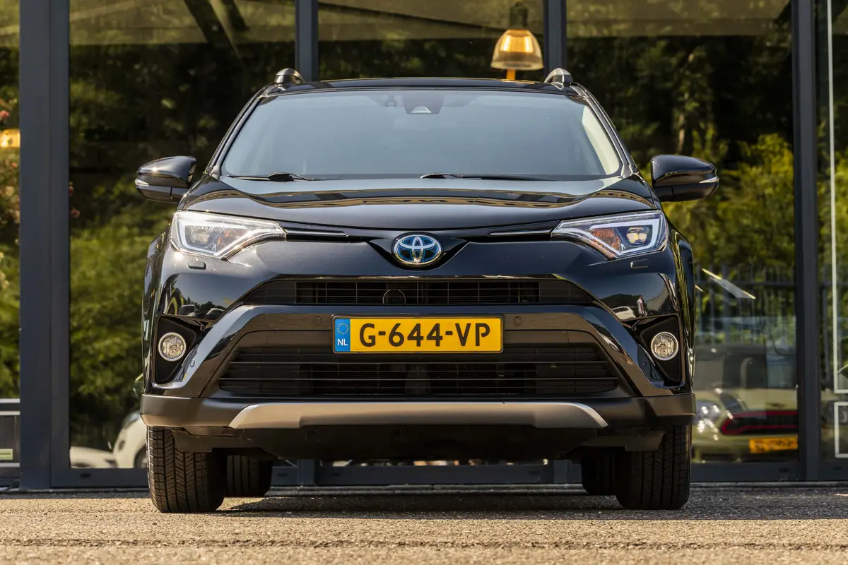 Toyota RAV4 2.5 Hybrid Energy: foto 2