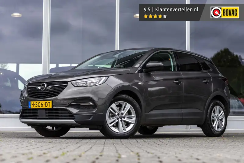 Opel Grandland X 1.2 Turbo Business Executive 2020 leasen bij DreamLease: foto 1