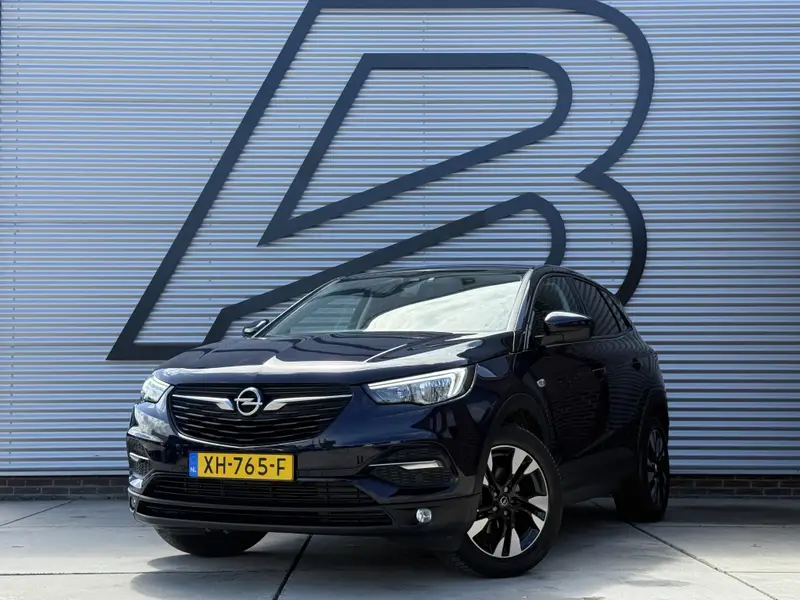 Opel Grandland X 1.2 Turbo Online Edition 2019 leasen bij DreamLease: foto 1