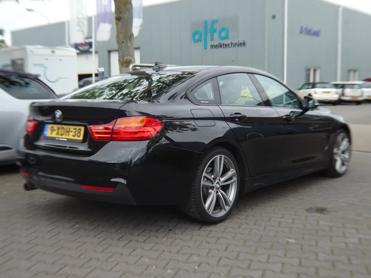 BMW 4 Serie Gran Coupé 420i Executive: foto 2