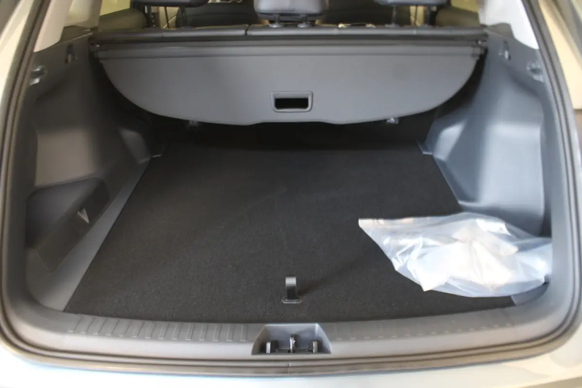 Geely Starray EM-i 1.5 Pro: foto 20