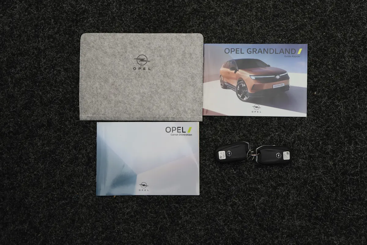 Opel Grandland 1.2 Turbo Hybrid Edition: foto 54