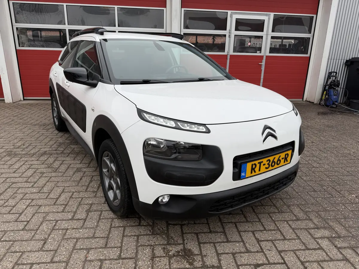 Citroën C4 Cactus 1.2 PureTech 82 PK | Shine | Navigatie |: foto 1