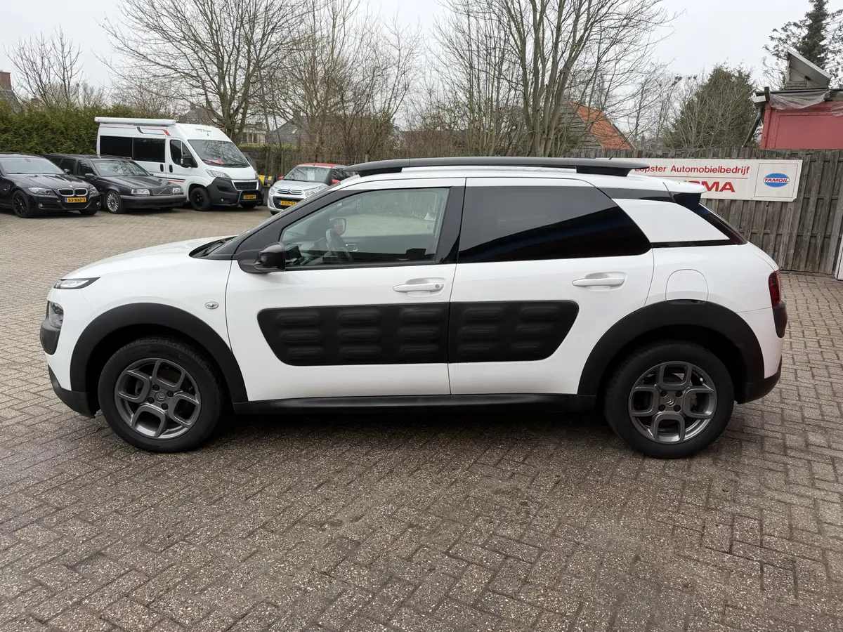 Citroën C4 Cactus 1.2 PureTech 82 PK | Shine | Navigatie |: foto 2