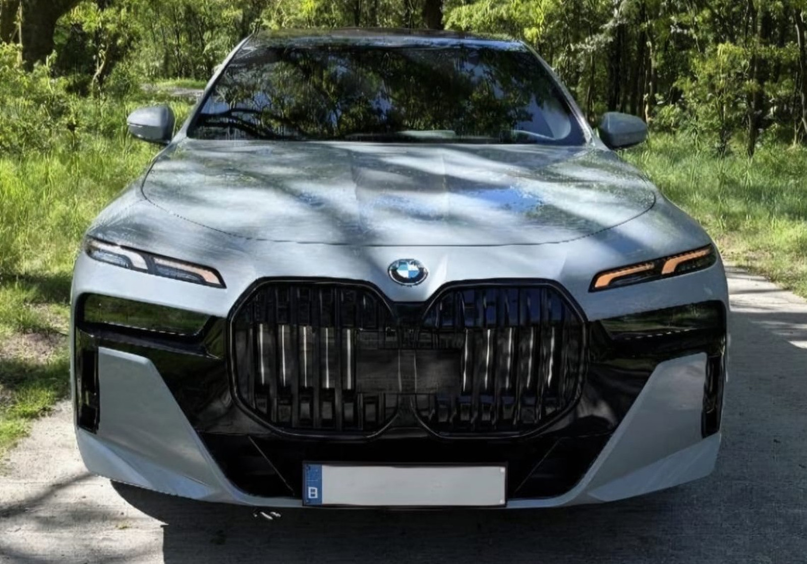 BMW i7 EDrive50 106 kWh | Brooklyn Grau | Driving Assistant Professional | Iconic Glow | 22INCH | Bowers & Wilkins | HuD | Veganza: foto 13