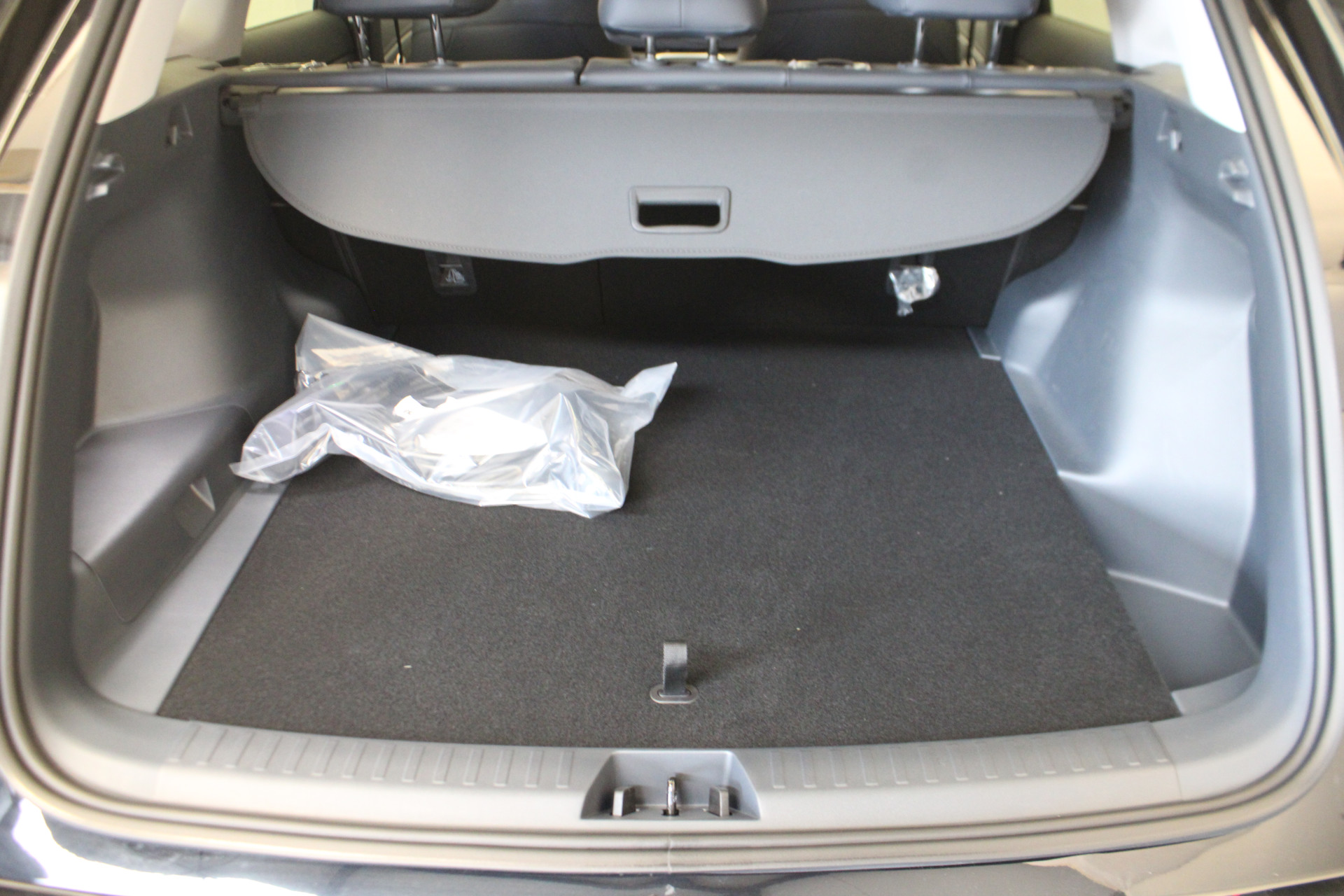 Geely Starray EM-i 1.5 Pro: foto 20